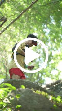 BIB:  <button type="button" onclick="openModal(27929618)" class="btn btn-primary btn-sm float-right" data-toggle="modal" data-target=".modal-high-quality">
                <i class="fa fa-download"></i> Download
                </button>